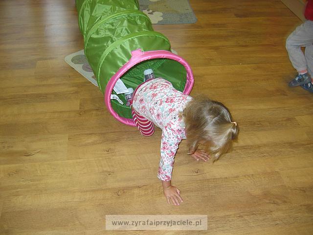 IMG 7935