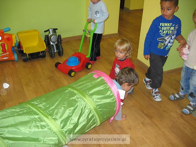 IMG 7937