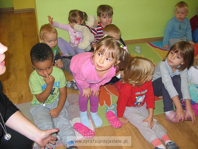IMG 7955
