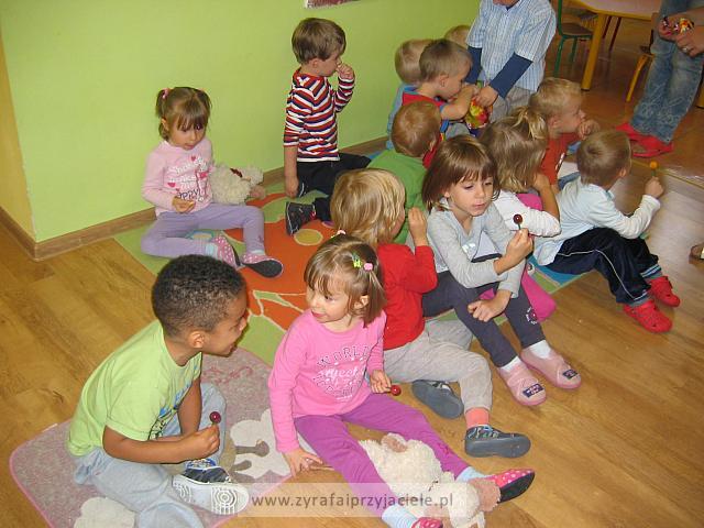 IMG 7981