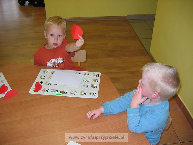 IMG 7995