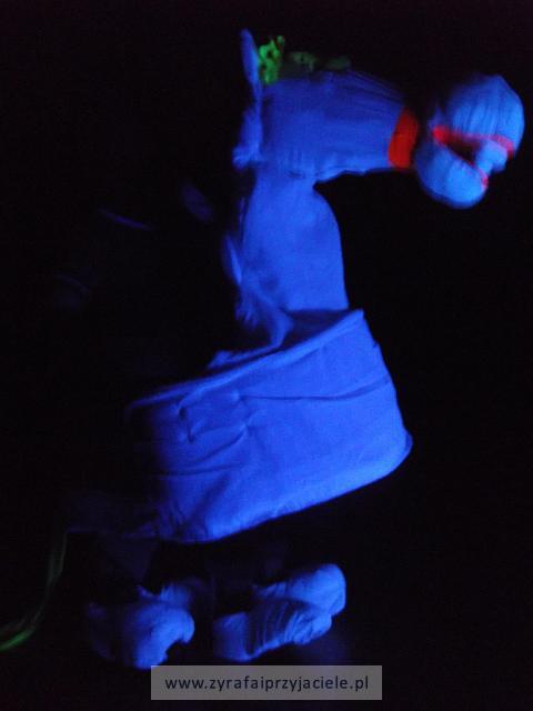 DSCF8233