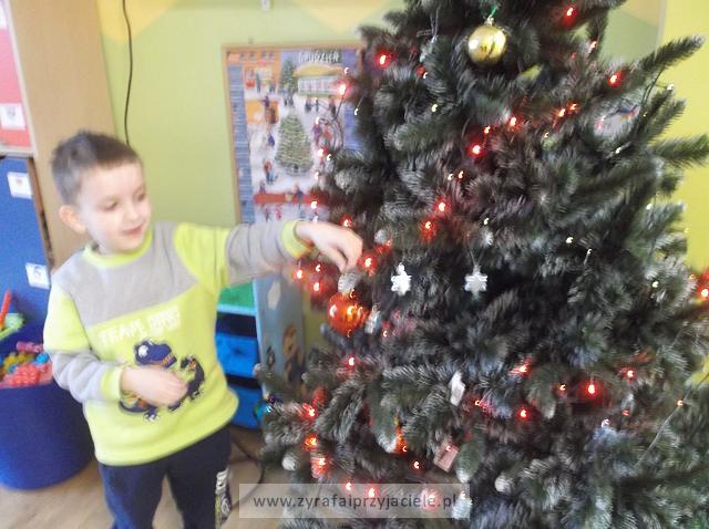 DSCF7455