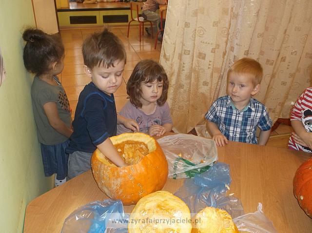 DSCF9343