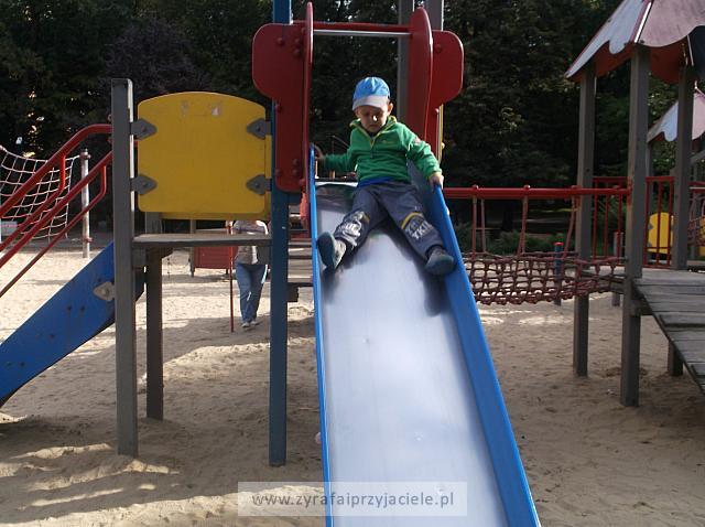 DSCF8937