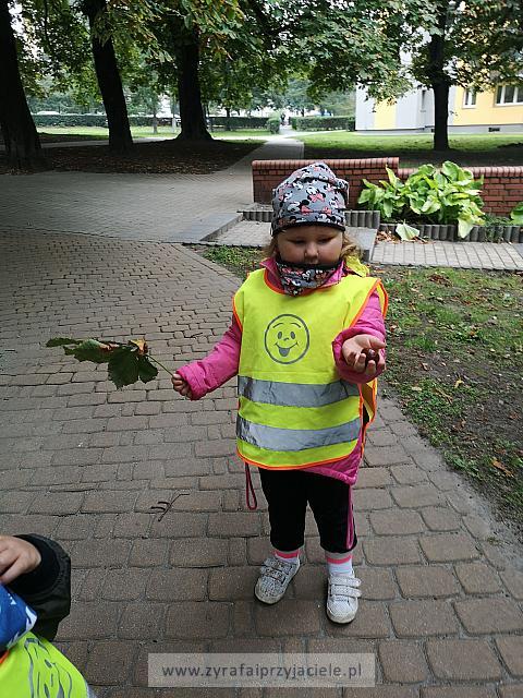 IMG 20190925 093731