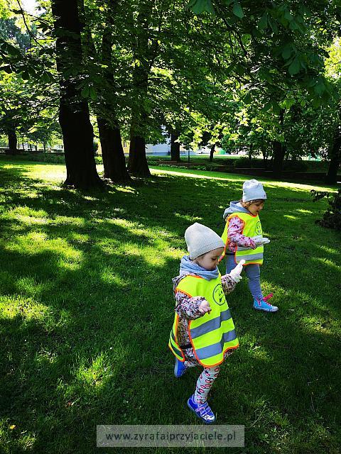 IMG 20190508 093412