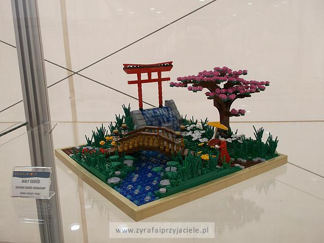 DSCF3005