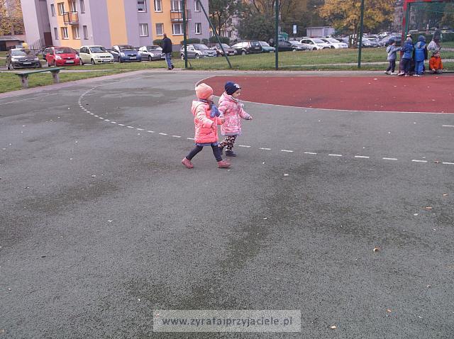 DSCF2284
