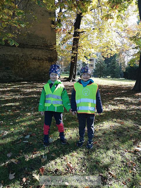 IMG 20191011 103020