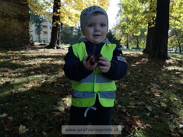 IMG 20191011 103048