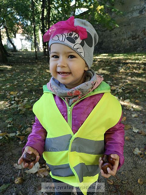 IMG 20191011 103057
