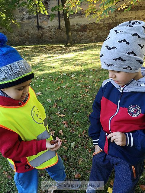 IMG 20191011 103125
