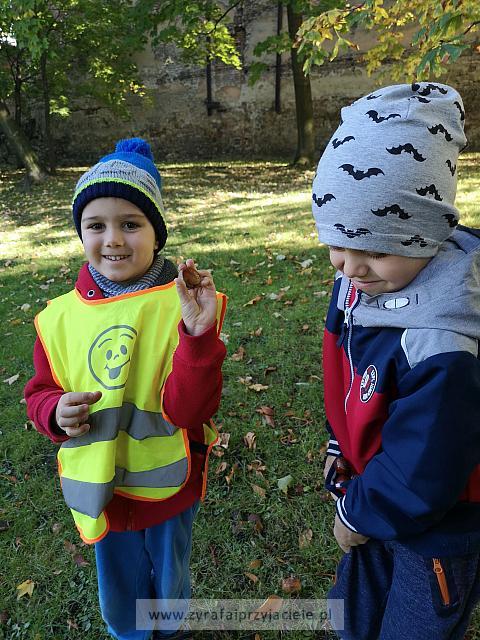 IMG 20191011 103131