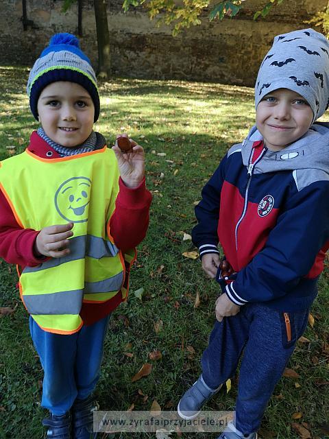 IMG 20191011 103134