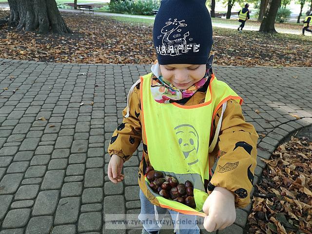 IMG 20191011 103157