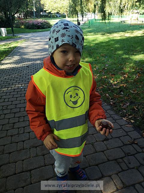 IMG 20191011 103221