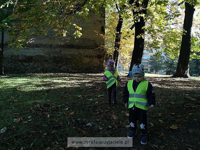 IMG 20191011 103453
