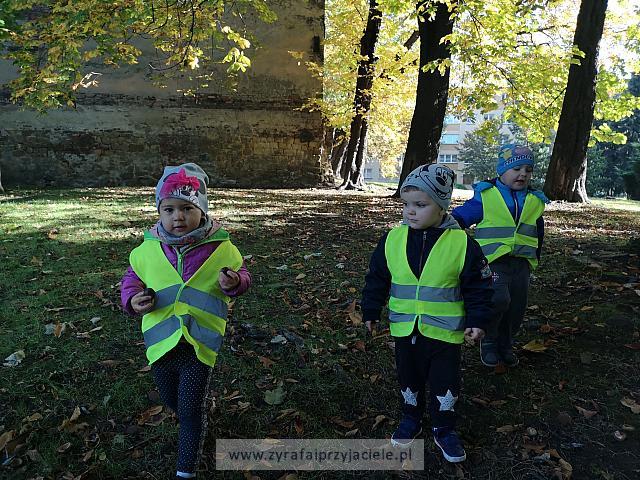 IMG 20191011 103456