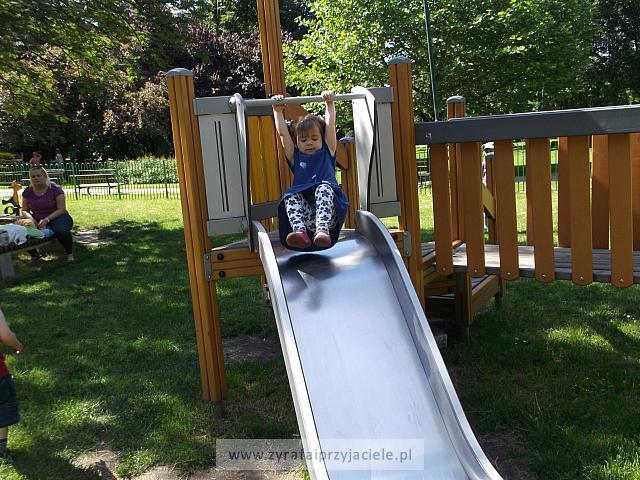 DSCF3351