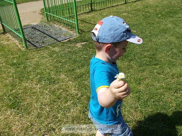 DSCF3379