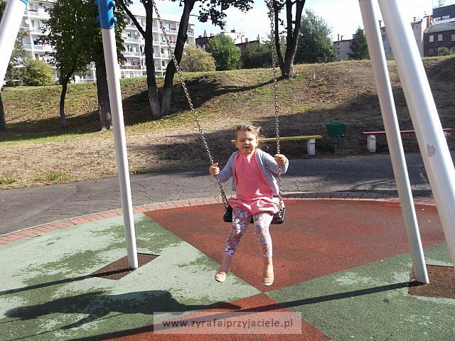DSCF5308