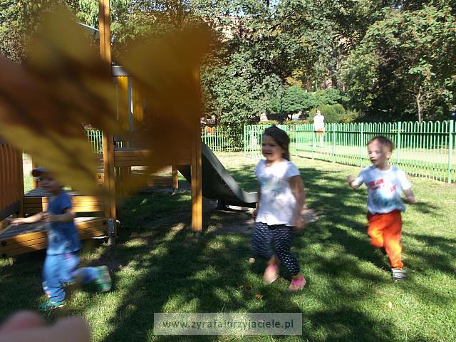 DSCF5335