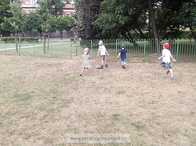 DSCF1356