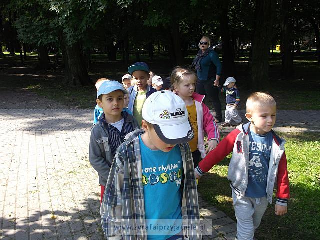 DSCF8362