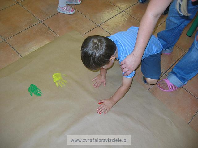IMG 7441