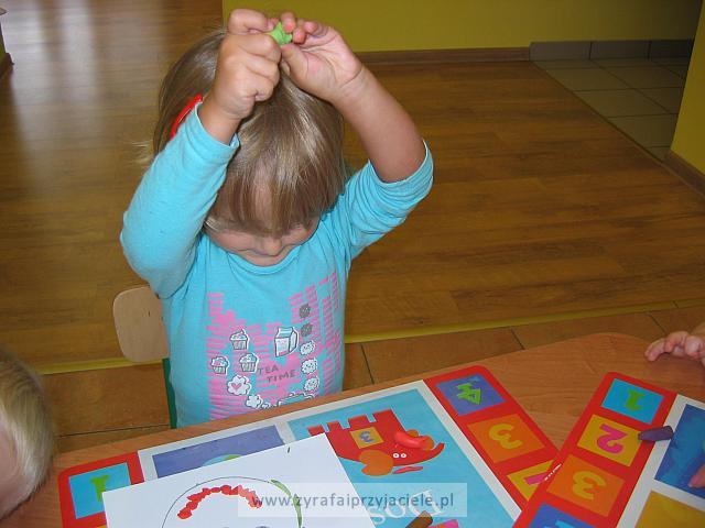 IMG 7461