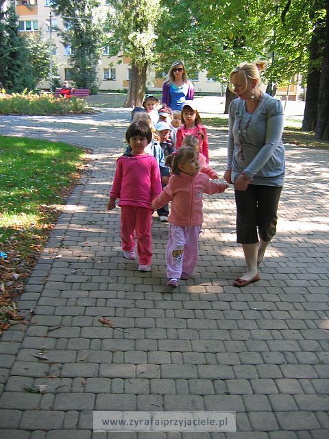 IMG 7567