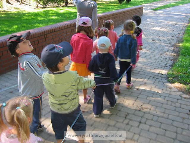 IMG 7570