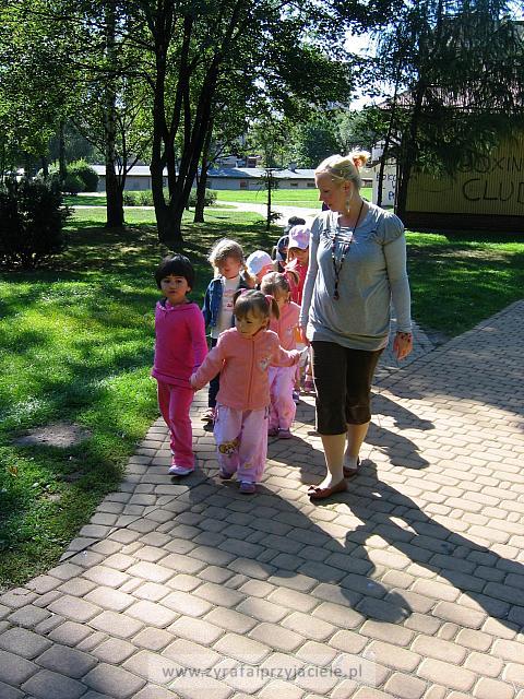IMG 7572