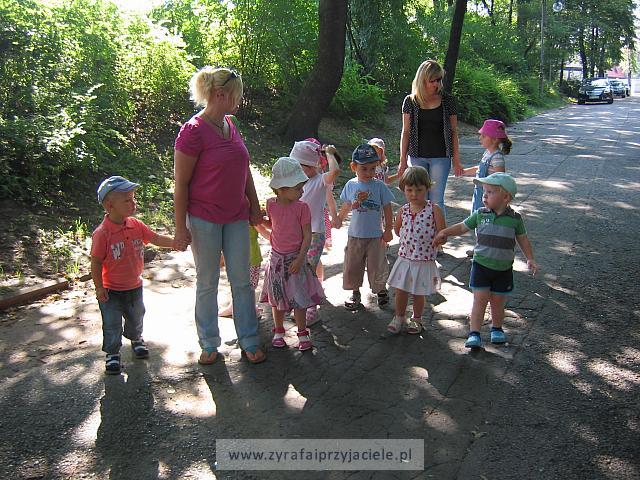 IMG 6909