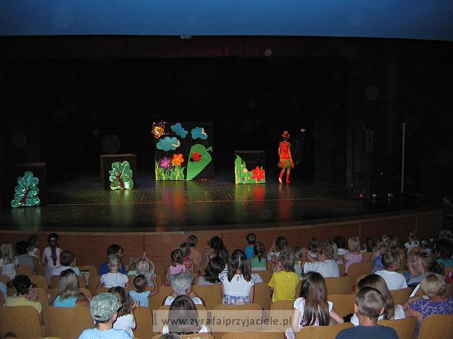 IMG 6982
