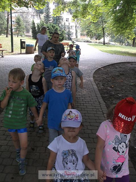 DSCF5694