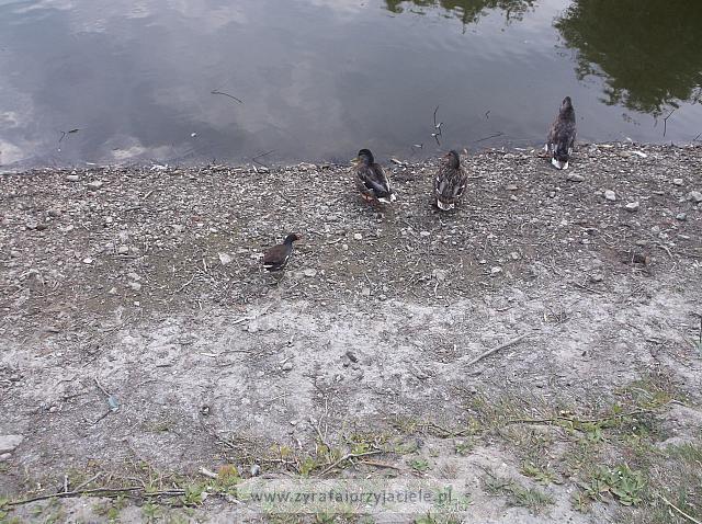 DSCF5703