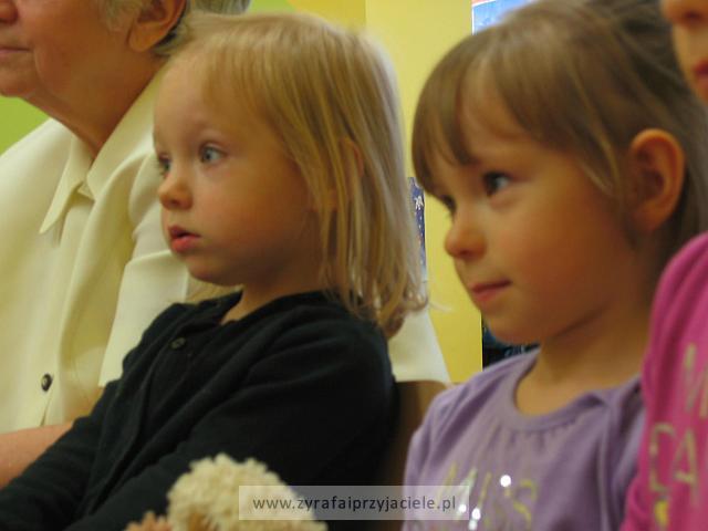 IMG 7652