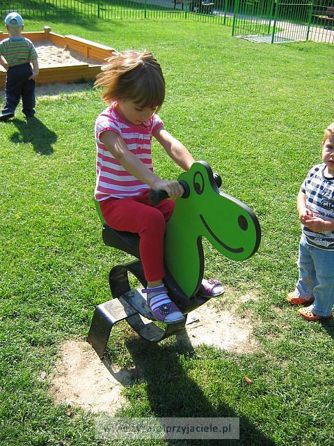 IMG 7341