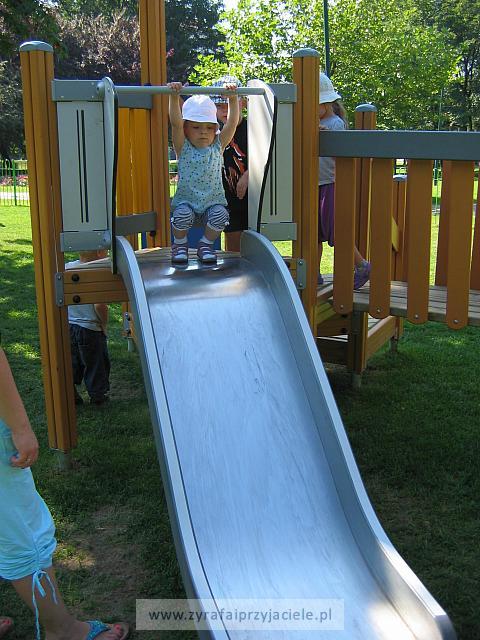 IMG 7356