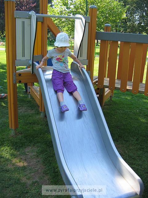 IMG 7357