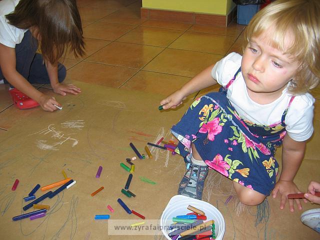 IMG 7382