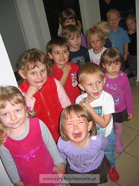 IMG 8218