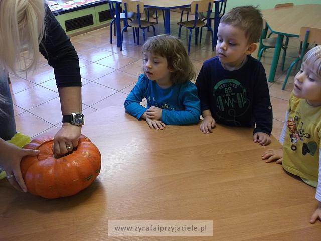 DSCF5664