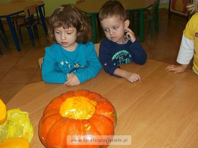 DSCF5668