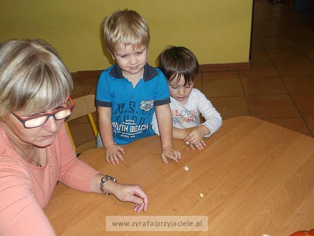DSCF5670