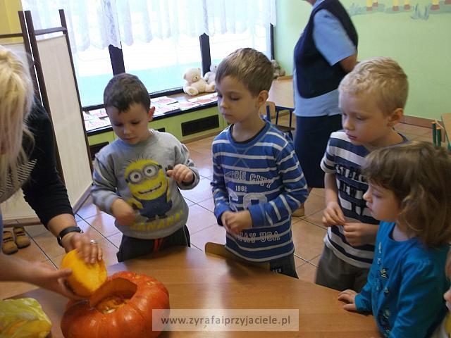DSCF5672