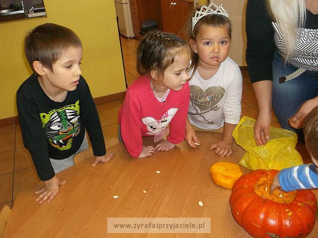 DSCF5675