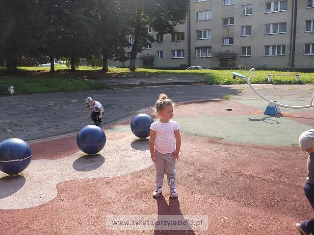 DSCF8819